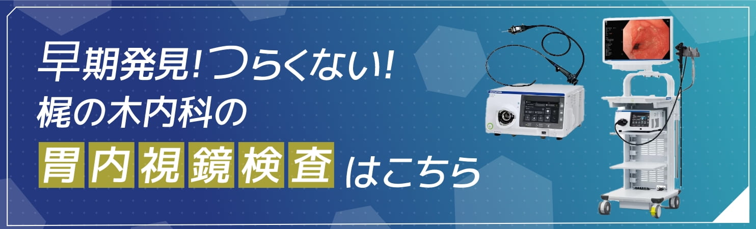 早期発見！つらくない！梶の木内科の胃内視鏡検査はこちら